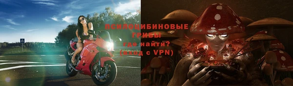 Альфа ПВП Волоколамск