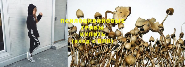 МДПВ Волосово