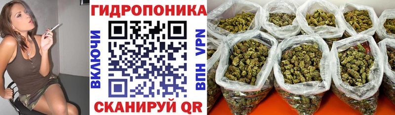 Бошки Шишки гибрид Зея